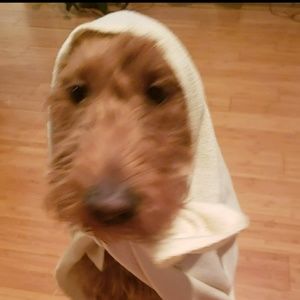 Meet your Posher, Rhonda